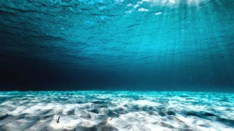 clear-concept-underwater-ocean-floor-perspectives-shutterstock ...