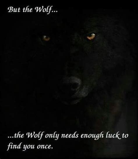 Twitter | Wolf quotes, Lone wolf quotes, Warrior quotes