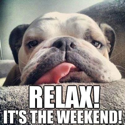 Happy Weekend Dog Quotes. QuotesGram