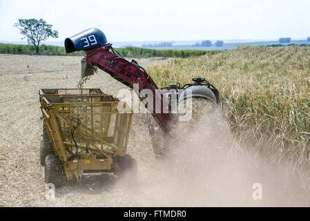 Sugar mill and sugar cane field, Mhlume, Swaziland Stock Photo: 85910297 - Alamy