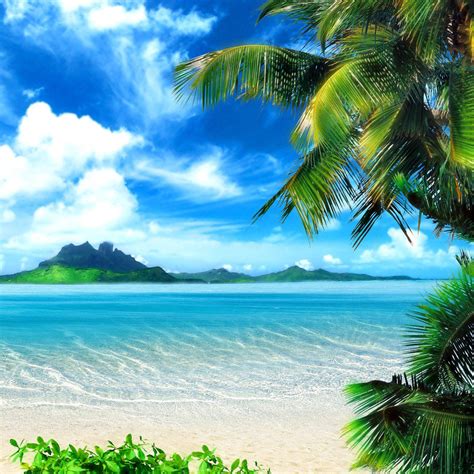 Tropical Beach Screensavers and Wallpaper - WallpaperSafari