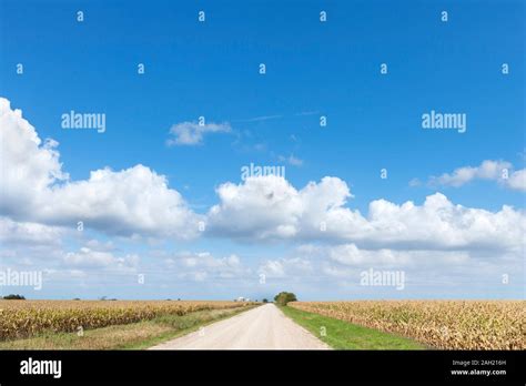 Iowa cornfields. Road through fileds of corn near Winterset, Iowa, USA ...