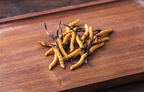 Cordyceps: Benefits, Nutrition, and Risks