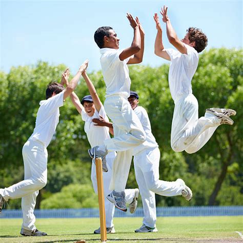 2,800+ Cricket Celebration Stock Photos, Pictures & Royalty-Free Images ...