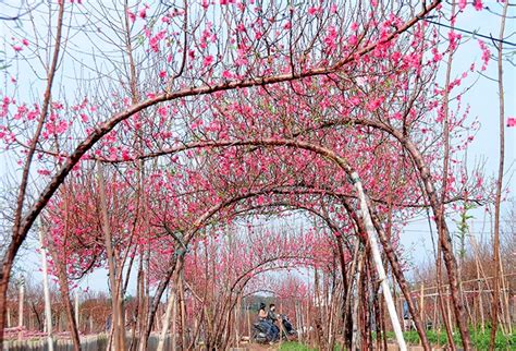 Nét đẹp mùa xuân