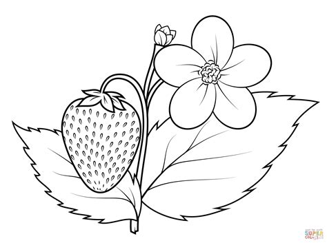 plants colouring pages - Clip Art Library