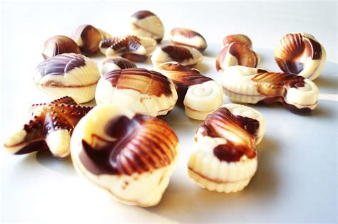 Belgian chocolates,chocolate,confectionery,candy,free pictures - free image from needpix.com