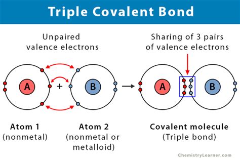 Triple Covalent Bond: Definition and Examples