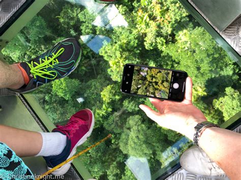 A Journey Above The Trees With Kuranda Skyrail Rainforest Cableway ...