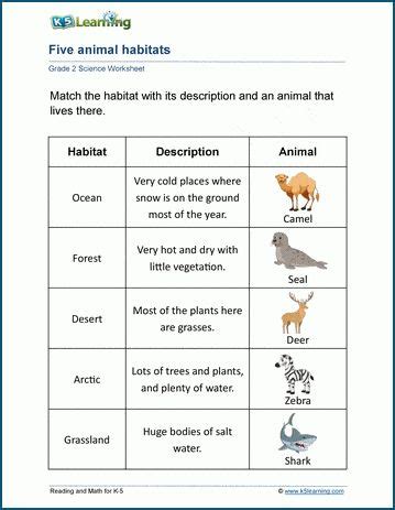 Animals worksheets - reviewing how animals live, what they eat, their ...