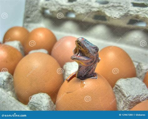 Dinosaur Hatching From An Egg Stock Photo - Image: 12967280