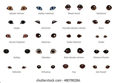 Vector Set Cartoon Dog Eyes Isolated Stock Vector (Royalty Free ...