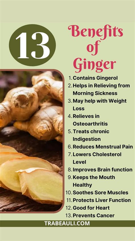 What are the benefits of ginger: An immersive guide by Trabeauli | DIY ...