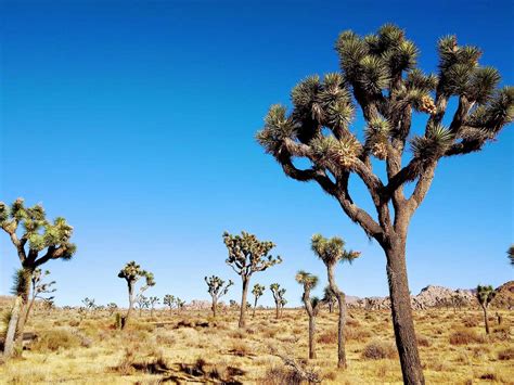 Best Hiking Trails in Southern California - Travel Dudes