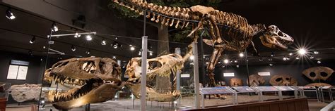 Museum of the Rockies - The Montana Dinosaur Trail