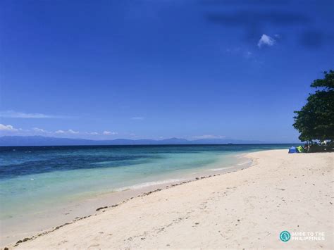 Lambug Beach, Badian, Cebu | Beach, Camotes island, Island beach