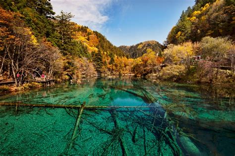 Five Flowers Lake China