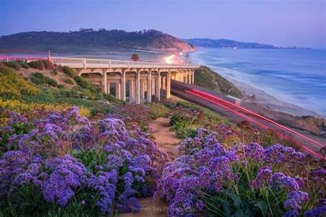 Coastal Trail | North Torrey Pines Bridge, Del Mar | Stephen Bay Photography