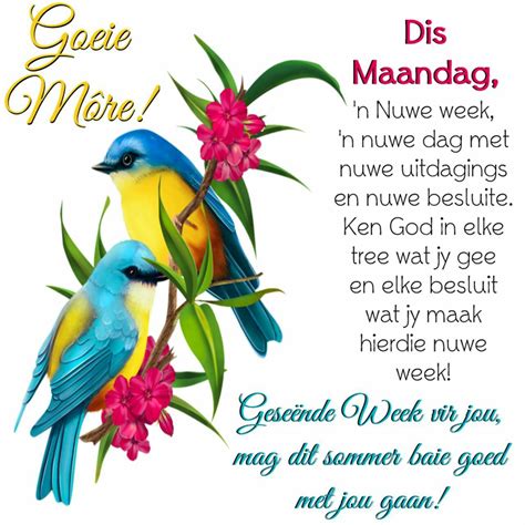 Pin by Martin Thompson on Afrikaans | Goeie more, Morning greetings quotes, Good morning wishes