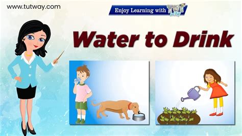 Water to Drink | Water for plants | Basic Needs of Living Things | Air, Water, Food | Science ...