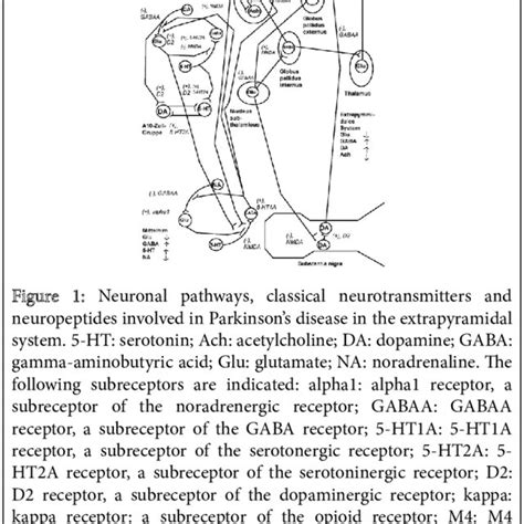 (PDF) Symptoms and Therapeutic Options of the Anti-NMDA Receptor Encephalitis According To a ...