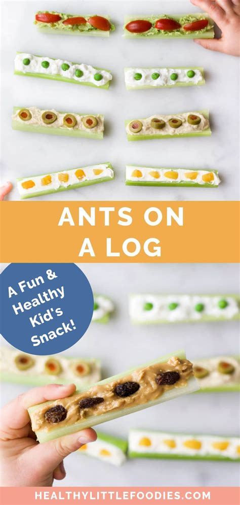 Ants on a Log - Healthy Little Foodies