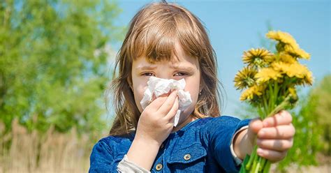 Surviving SA’s Peak Pollen Season: Antihistamine and other Hay Fever ...