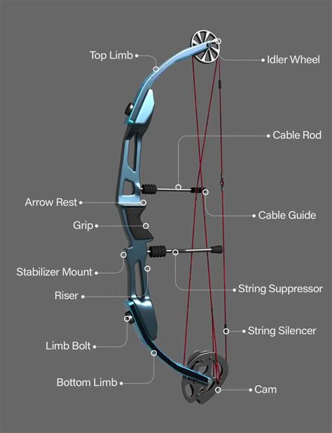 Choosing The Right Compound Bow - Boss Targets