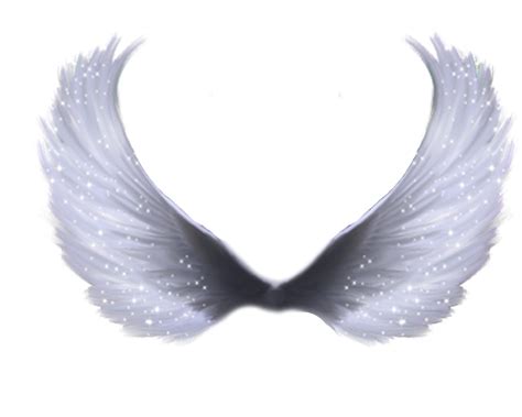 White Angel Wings Png - Clip Art Library