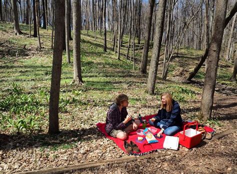 Kalamazoo Nature Center board members resign after new director is ...