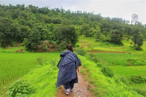 Bari Village, Maharashtra - Hut, hospitality and homestay