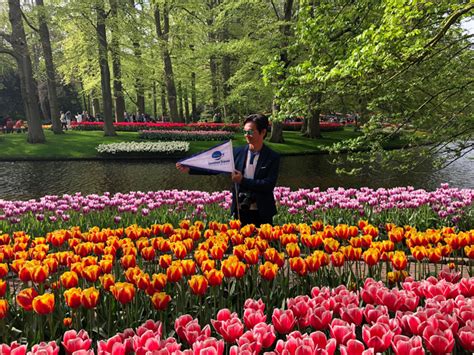 KEUKENHOF - VƯỜN HOA TULIP LỚN NHẤT THẾ GIỚI - Univiet Travel - Unique Always