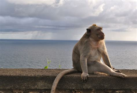 How to Do a Day Trip to Uluwatu from Seminyak