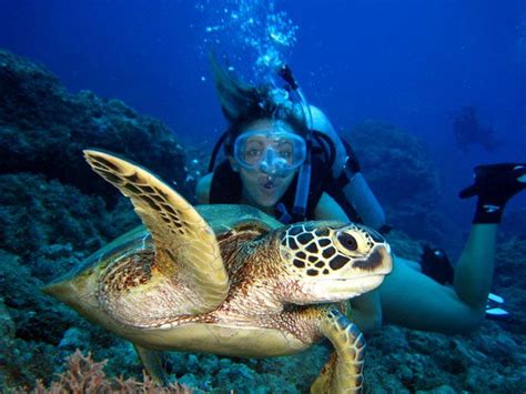 Diving | Diving, Saipan, Diving shirt