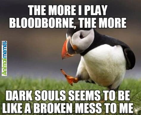 Animal memes Bloodborne Players... Check more at http://www.animalmemes.com/animal-memes ...