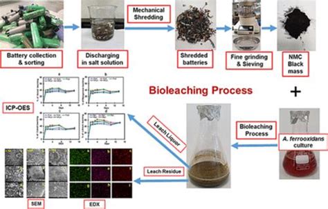 Bioleaching process (Roy, Srinivasan, et al., 2021) | Download Scientific Diagram