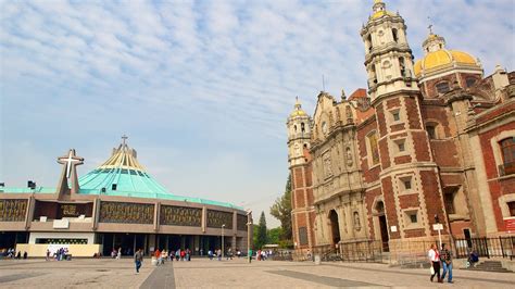 Basílica de Nuestra Señora de Guadalupe: Información de Basílica de Nuestra Señora de Guadalupe ...