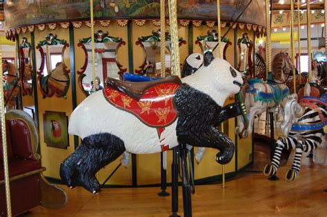 Carousel Museum | Carousel museum, Carousel, Carousel horses