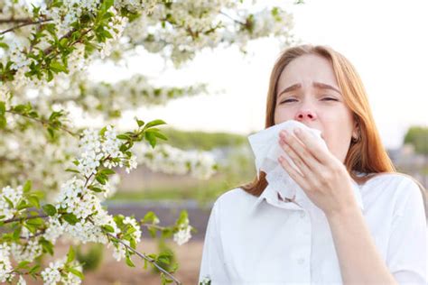 Cedar Pollen Allergy: Causes, Symptoms, Treatment - Angleton Emergency ...