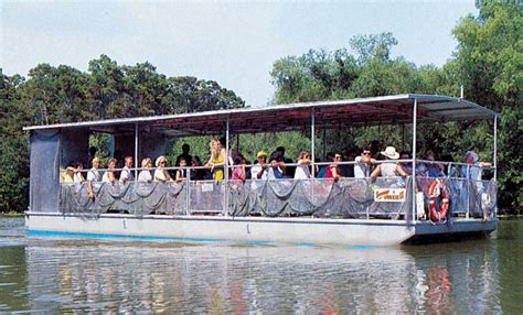 Jean Lafitte Swamp and Bayou Tour with Optional Transportation - TripShock!