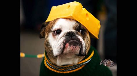 CHEESEHEADS lost @ Qualcomm | Fun Song | San Diego CHARGERS Green Bay Packers - YouTube