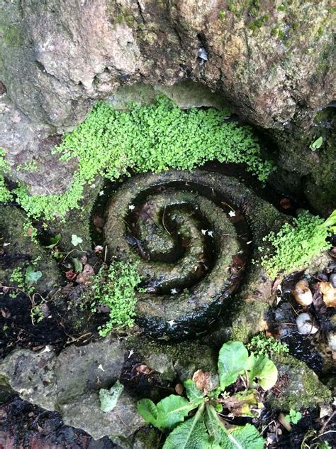 Spiral carved in stone, found at the White Spring, Glastonbury. | Mystical places, Sacred places ...