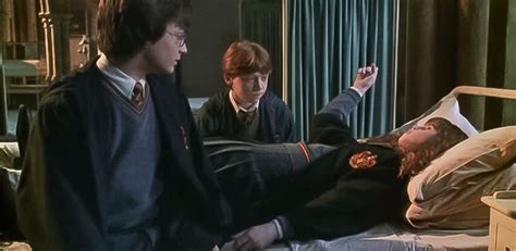 Harry Potter and the Chamber of Secrets - Harry and Ron visit Hermione in the hospital ward ...