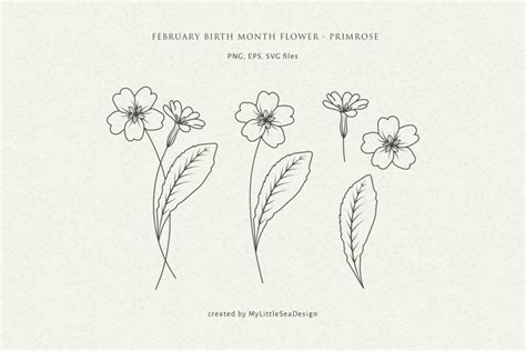 February Birth Month Flower, Primrose Flower Svg