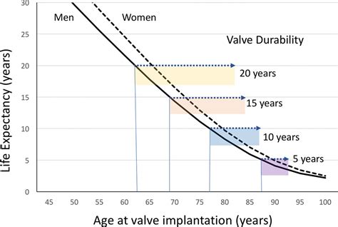 Importance of the valve durability-life expectancy ratio in selection ...