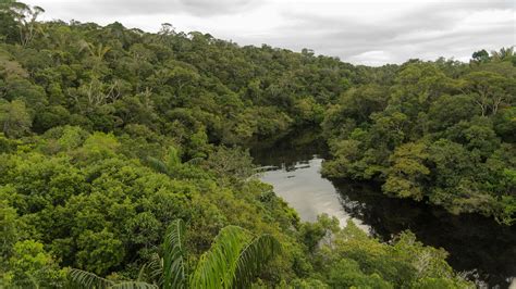 Anavilhanas Archipelago, Amazon - by Cecilia Marques Travel to Brazil ...