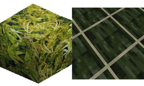 The new dried kelp block looks like cannabis! : r/Minecraft