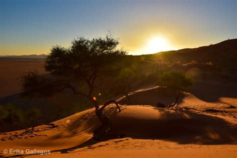 Stunning Sossusvlei and Deadvlei – camera4two