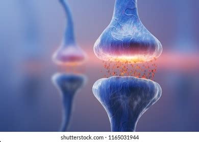 19,936 Synapse Brain Images, Stock Photos & Vectors | Shutterstock