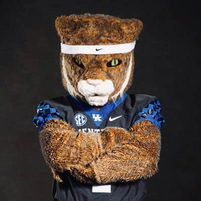 The Kentucky Wildcat on Twitter: "Wouldn't be #NationalBestFriendsDay ...